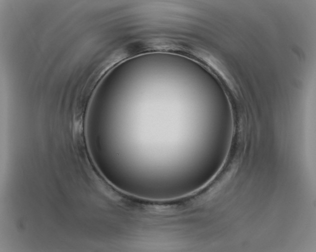 X0000113291281200909141156