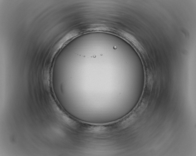 X0000113291282200909141156