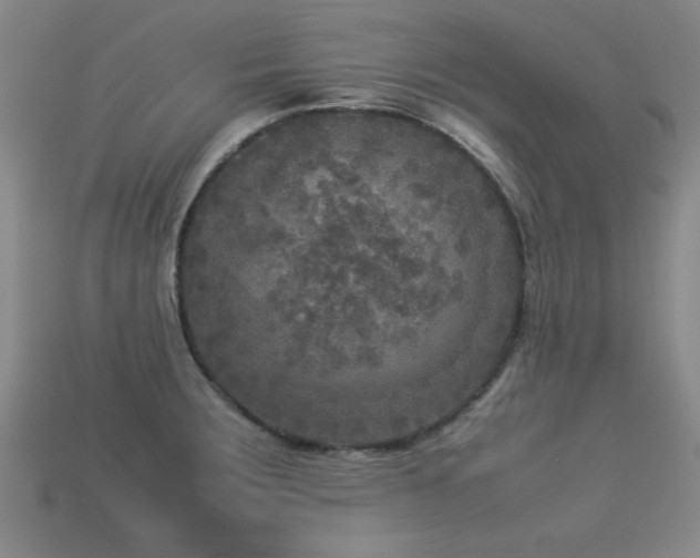 X0000113291283200909141156