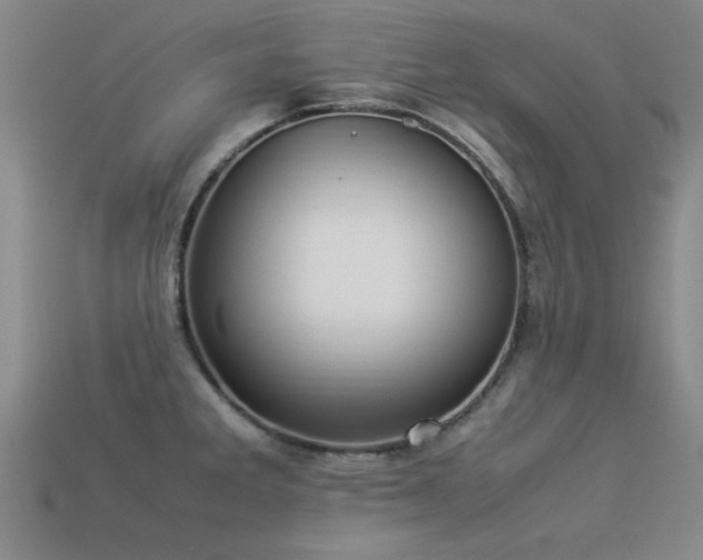 X0000113291285200909141156