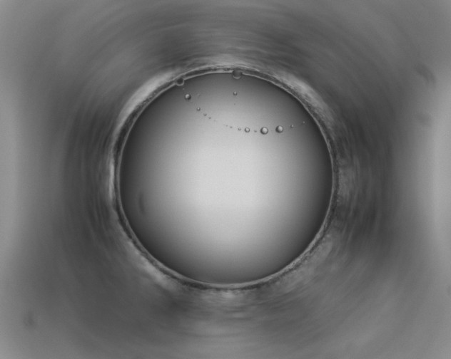 X0000113291286200909141156