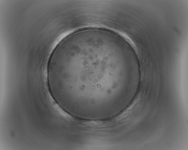 X0000113291287200909141156