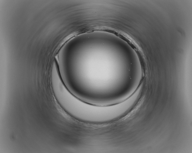 X0000113291289200909141156