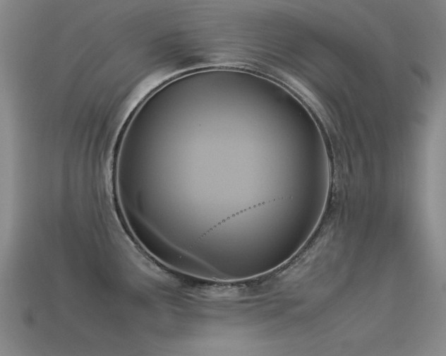 X0000113291291200909141156