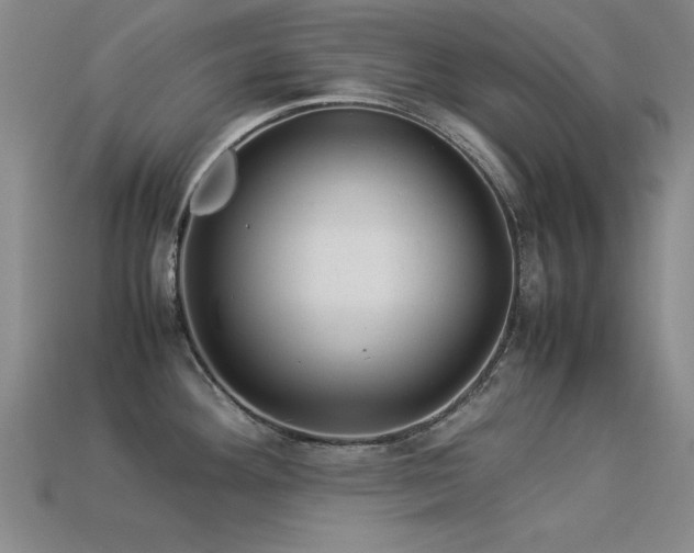 X0000113291292200909141156