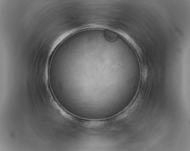 X0000113291294200909141156