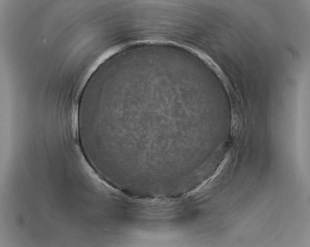 X0000113291295200909141156