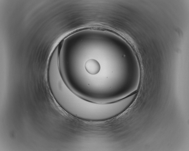 X0000113291296200909141156