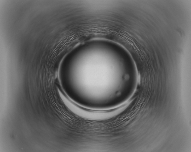 X0000113291298200909141155