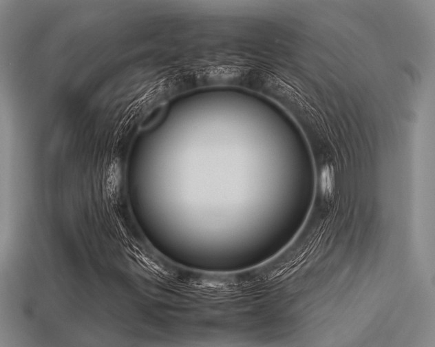 X0000113291299200909141155