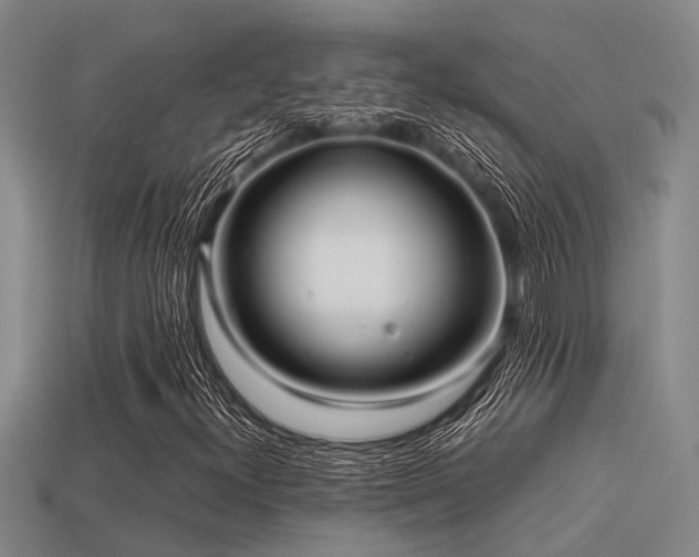 X0000113291300200909141155