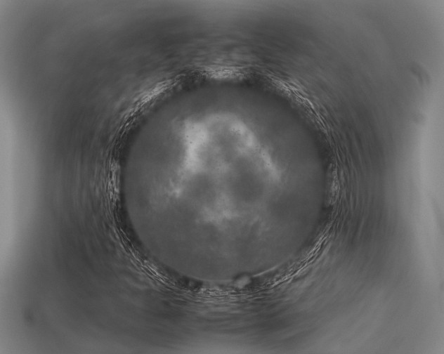 X0000113291301200909141155