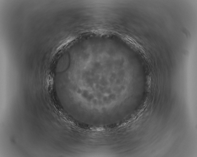 X0000113291302200909141155