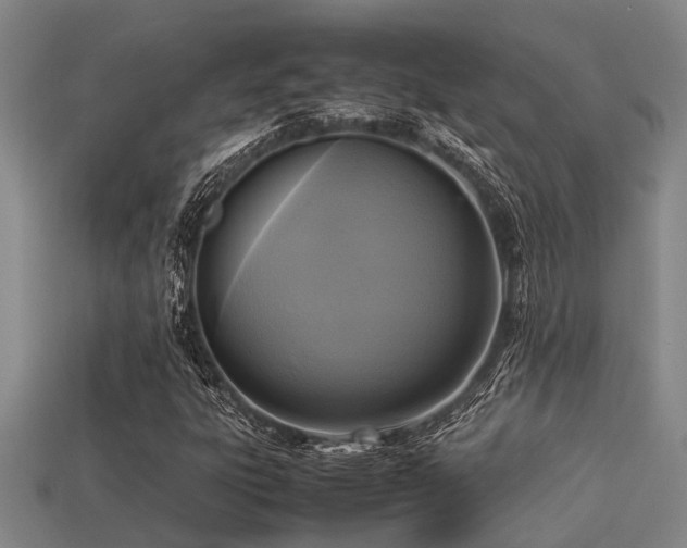 X0000113291303200909141155