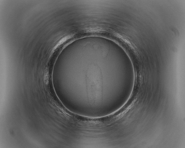 X0000113291306200909141155