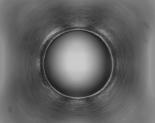 X0000113291307200909141155