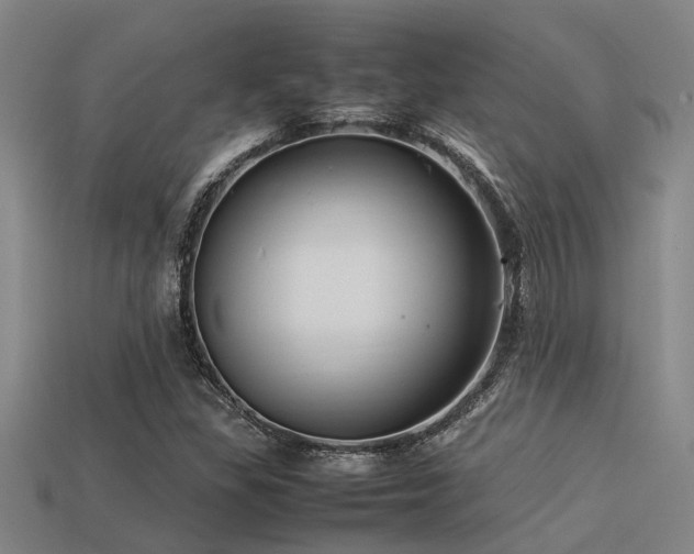 X0000113291309200909141155