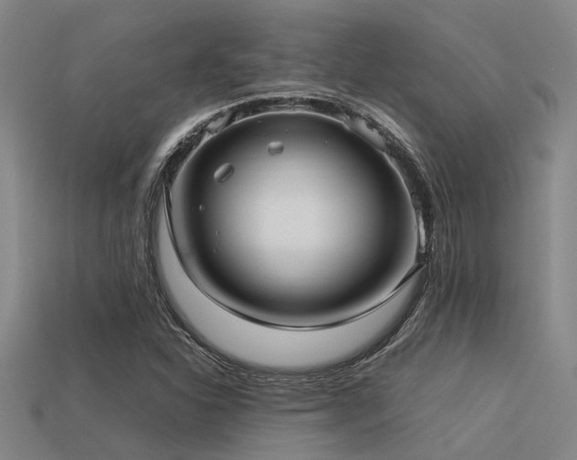 X0000113291310200909141155