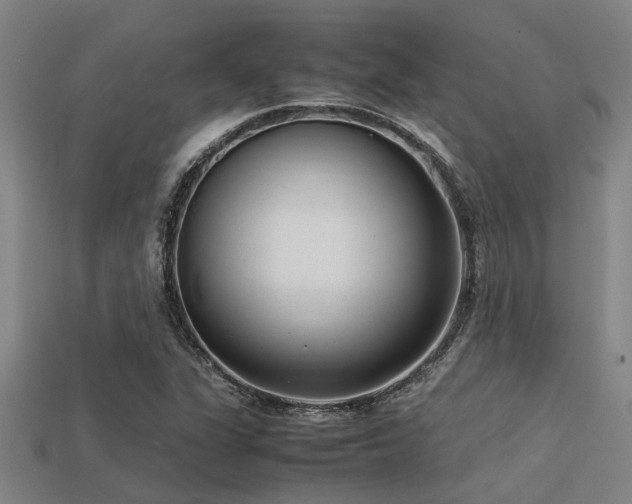 X0000113291311200909141155