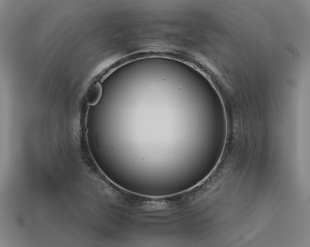 X0000113291315200909141156