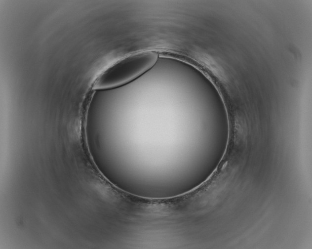 X0000113291316200909141156