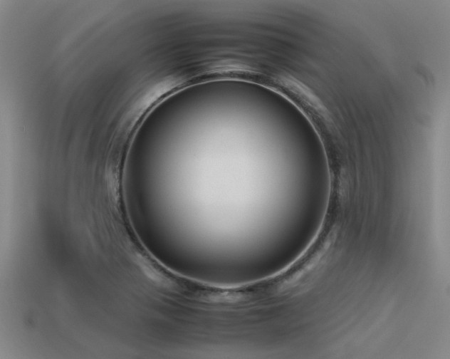 X0000113291321200909141156