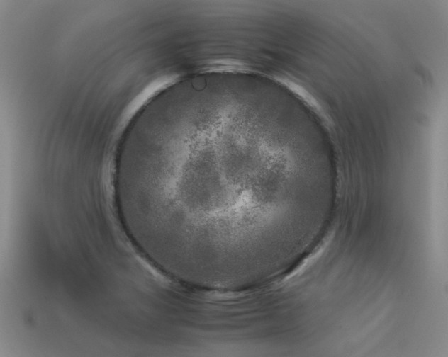 X0000113291325200909141156