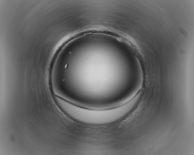 X0000113291326200909141156