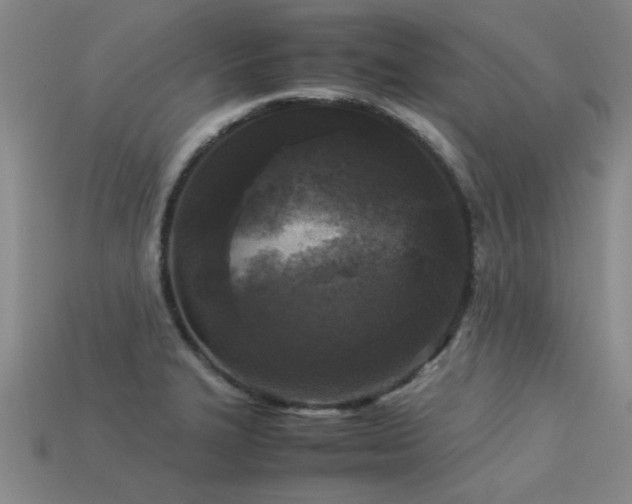 X0000113291327200909141156