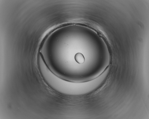 X0000113291328200909141156