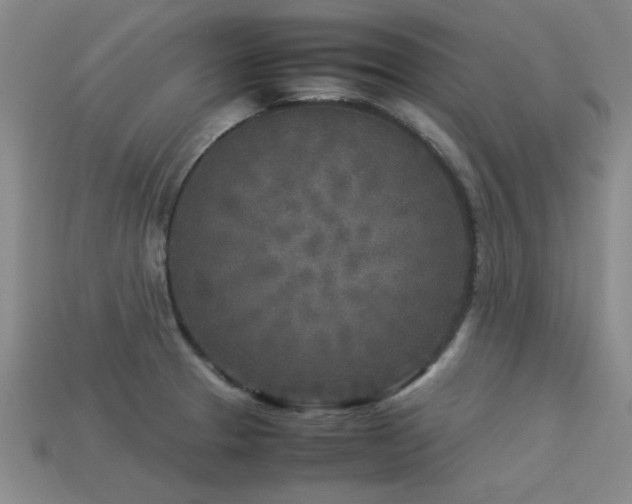 X0000113291329200909141156