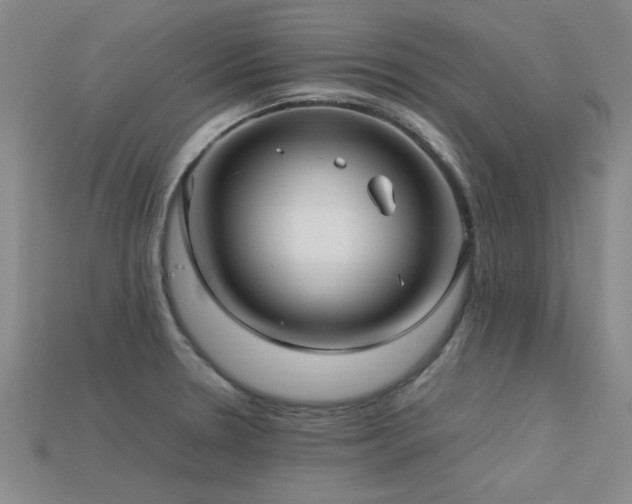 X0000113291330200909141156