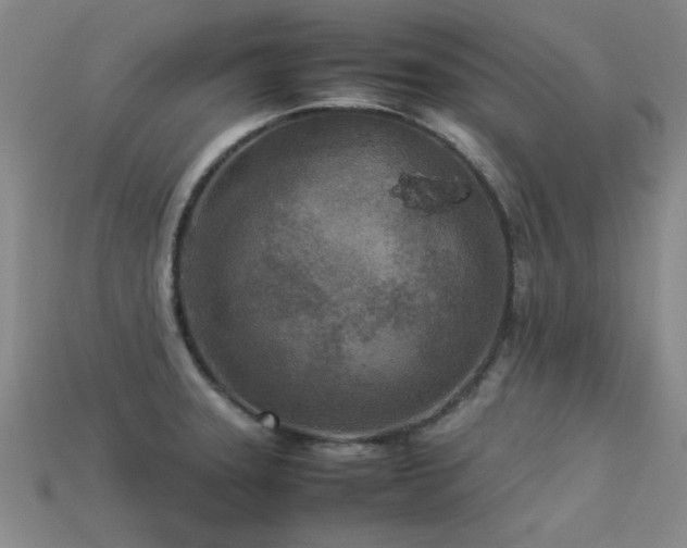 X0000113291331200909141156