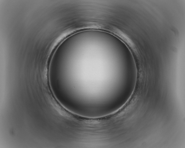 X0000113291332200909141156