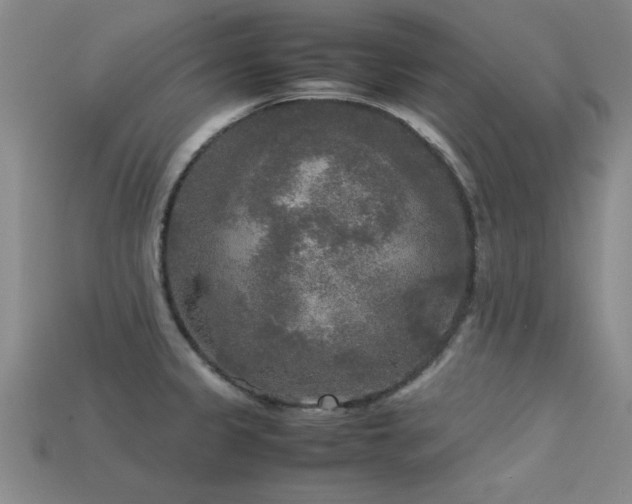 X0000113291333200909141156