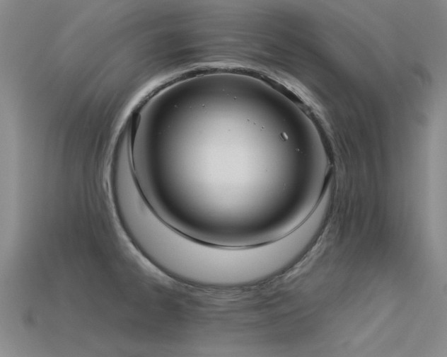 X0000113291334200909141156