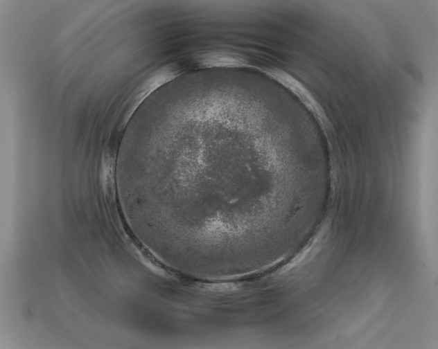 X0000113291337200909141156