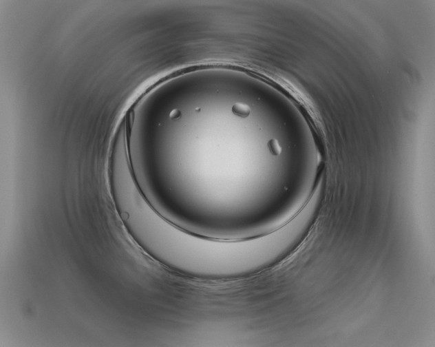 X0000113291340200909141156