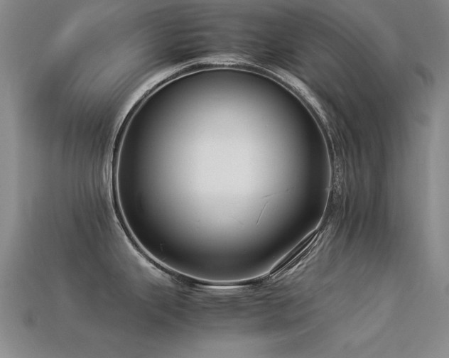 X0000113291343200909141156