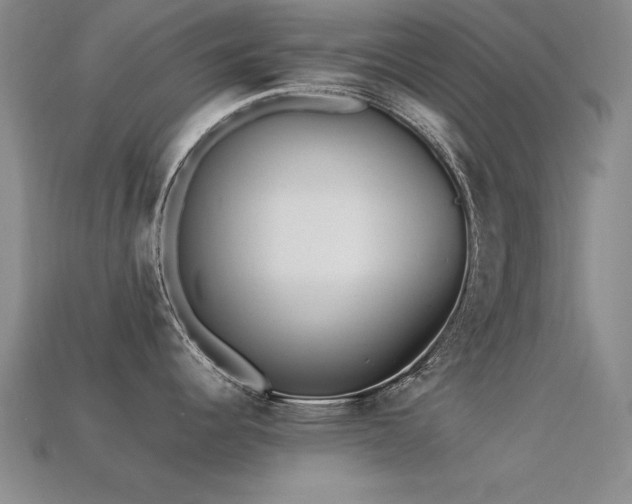 X0000113291344200909141156