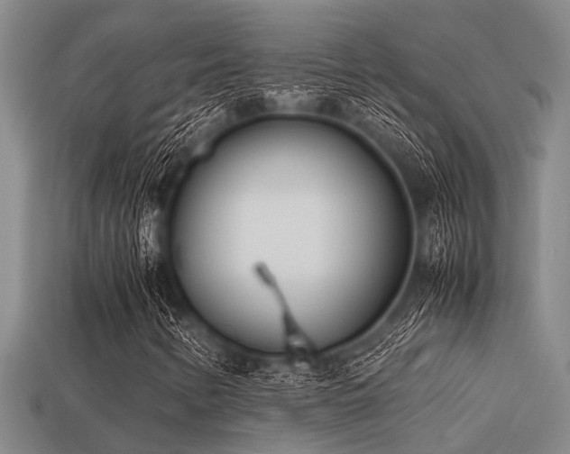 X0000113291346200909141155