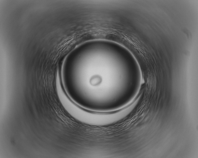 X0000113291348200909141155