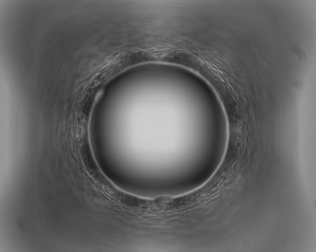 X0000113291349200909141155