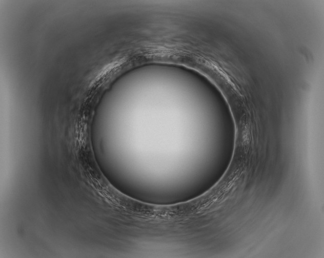 X0000113291350200909141155