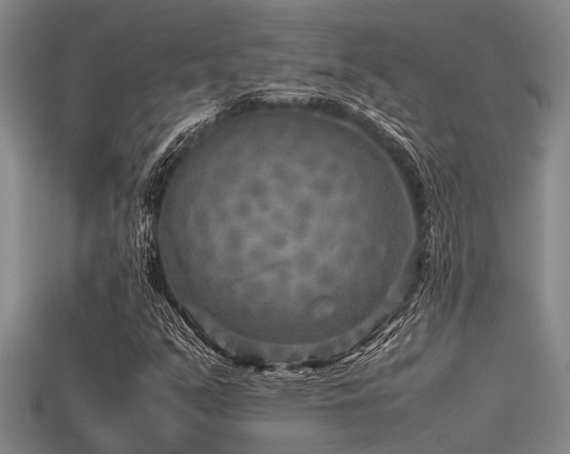 X0000113291351200909141155