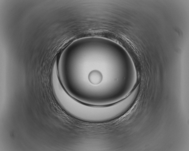 X0000113291353200909141155