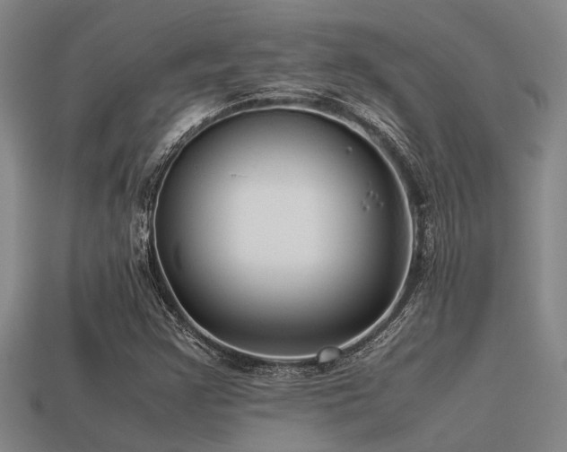 X0000113291355200909141155