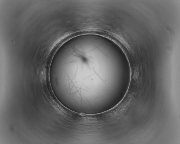 X0000113291356200909141155