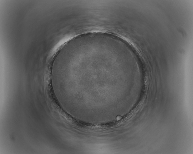 X0000113291359200909141155