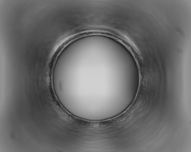 X0000113291360200909141155